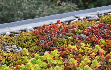 the cost of Dunbar green roof installation