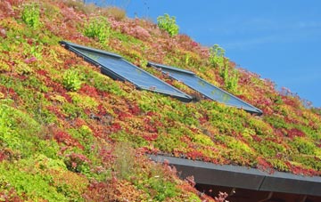 Dunbar living roof systems
