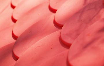 Dunbar plastic roof costs