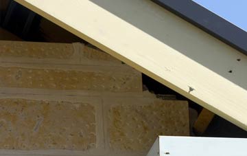 soffit repair Dunbar