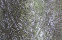 Dunbar fibreglass roof work