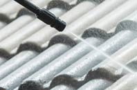 rated Dunbar roof cleaning companies